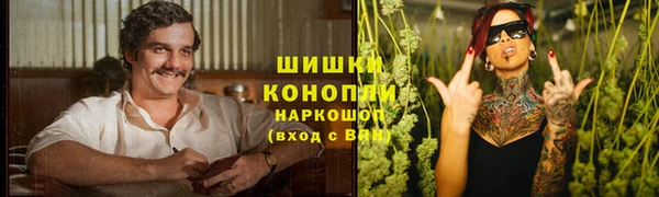 тгк Богородицк