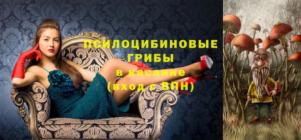 тгк Богородицк