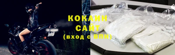 таблы Богданович
