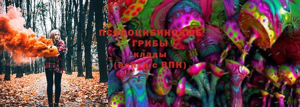 таблы Богданович