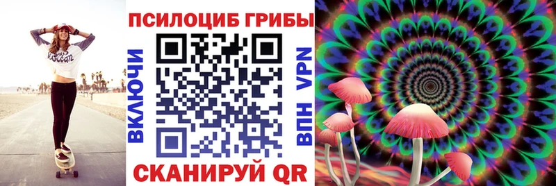 Галлюциногенные грибы Psilocybine cubensis  Нарткала 